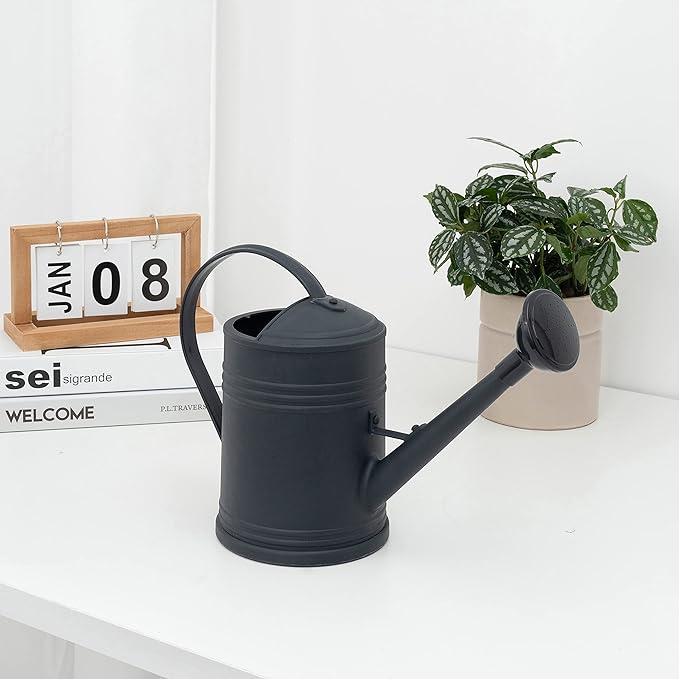 Plastic Indoor Watering Can with Sprinkler Head - 68 oz, 1/2 Gallon