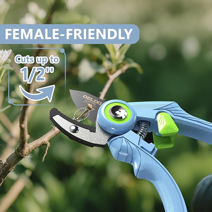 DELIXI Pruning Shears Anvil Garden Clippers, 1/2-Inch Cut Capacity Hand Pruners, Stainless Steel Blade with Non-Stick Coating, Ergonomic Small-Hand Design for Dry and Hard Branches
