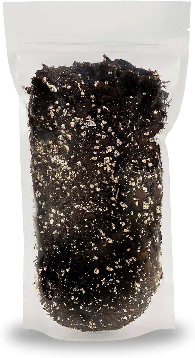 Pure Hard Akadama for Bonsai/Succulent Soil - (3mm-6mm) Small Grain for Cactus, Bonsai Plants Soil Amendment, Prevent Over Water, Provides Optimal Water Retention, Fast Drainage (3 Quart)