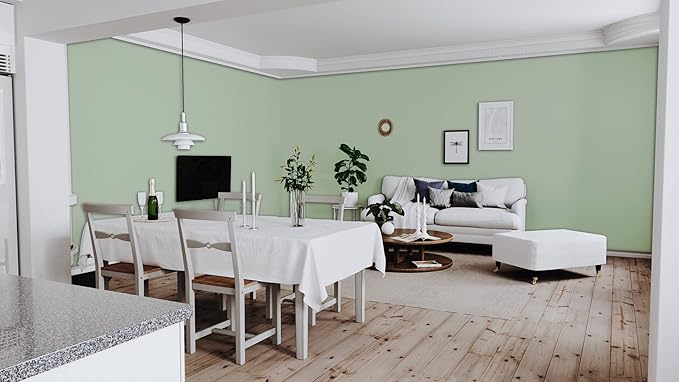 Dimoon 118''x17.7'' Green Peel and Stick Wallpaper Contact Paper Modern Self Adhesive Wall Paper Removable Renter Friendly Textured Solid Color Shelf Cabinet Vinyl Roll (118''x17.7'',Palegreen)