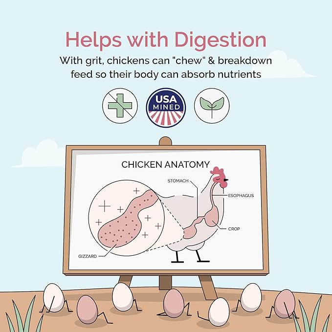 Chick Grit for Baby Chicks - Chickens Age 0-8 Weeks, 100% Natural Mineral Chick Grit Quartzite, Poultry Grit Digestive Aid, USA Mined, 50 lb