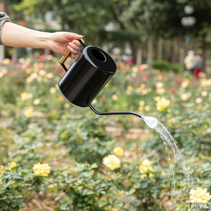 L&H Unico Stainless Steel 62oz Watering Can Long Spout Plant Misters for Indoor Plant Watering or Outdoor Gardening with 2Pcs Removable Spray Spout for Flowers Black