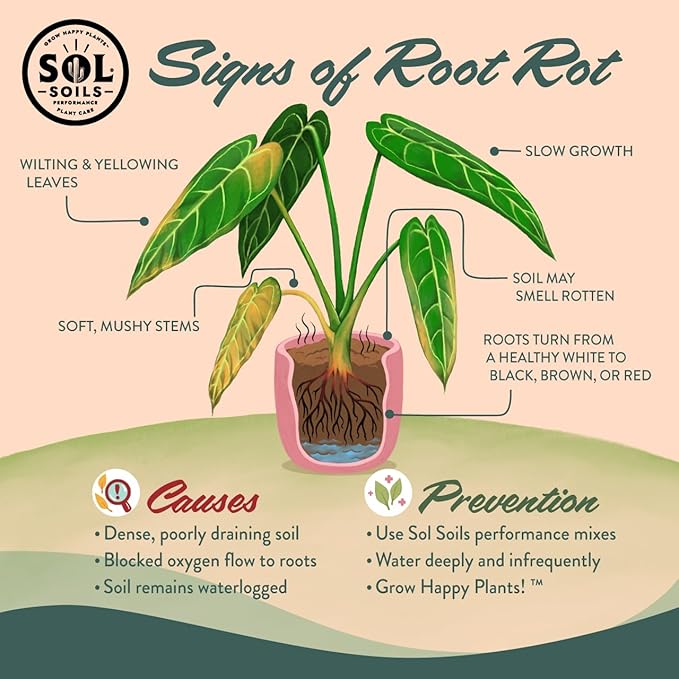 Sol Soils Succulent Gritty Mix 2 Quarts - Fast Draining Peat Moss Free Succulent Soil Potting Mix with Coconut Husk Chips, Perlite & Pumice