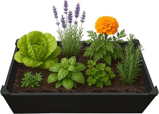 Raised Garden Bed - 2x4 ft Planter Box - Black HDPE - No Tools Needed - DIY Kit for Urban Gardening, Flowers, Herbs & Vegetables - Made in The USA