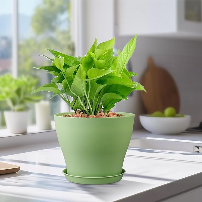 6 inch Plastic Nursery Pots,16 Pack Plant Pots for Small Indoor Outdoor Plants, Flower Pots with Drainage Holes and Saucers, Decorative Seedling Starter Planters for House Plants, Green