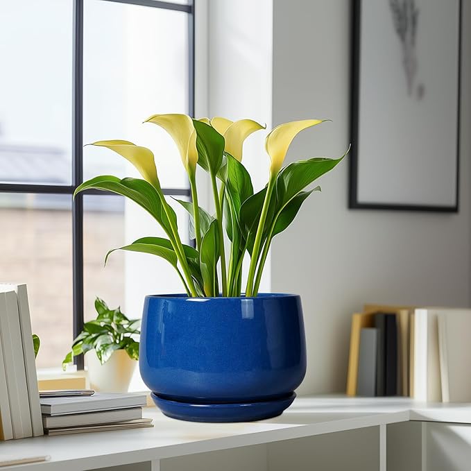 G EPGardening Ceramic Pots for Plants, 9 Inch Modern Round Planter with Drainage and Tray Indoor Outdoor for Flower, Patio Decor, Housewarming Gifts, Blue