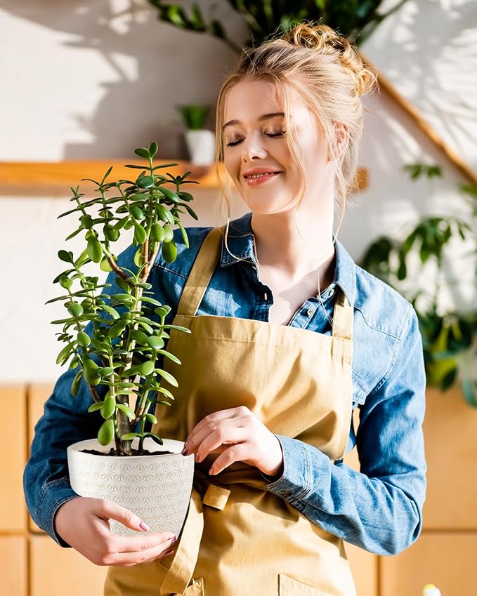 Plant Pots, Flower Pots, Planters for Indoor Plants(6.5+5.5inch), Flower Pots for Indoor Plants with Drainage Hole and Saucer, Ceramic Pots for Plants with Hole Mesh Pad,Reactive Glaze White