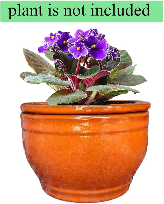 African Violet Pots Self Watering Round Ceramic Violet Pot (Orange, 6 inch)