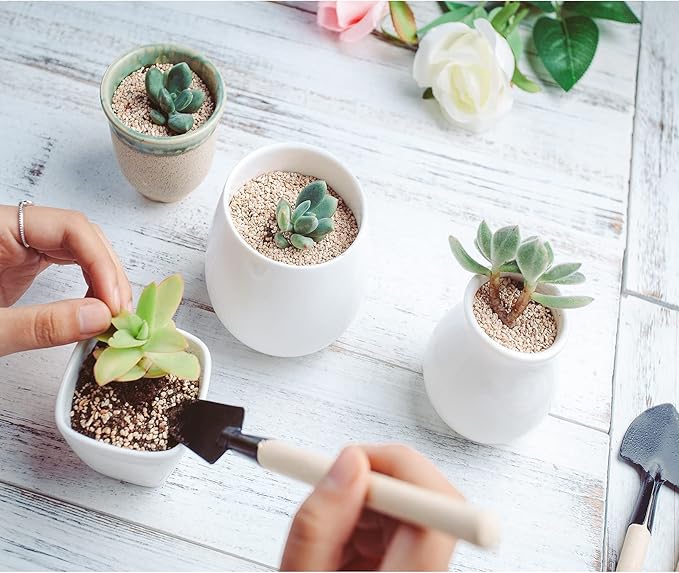 Andiker Mini Gardening Tools, 3pcs Portable Garden Hand Tools Set, Miniature Gardening Rake Trowel and Shovel for Seedlings, Bonsai, Succulents, Herbs, Terrariums and Planting (3pcs)