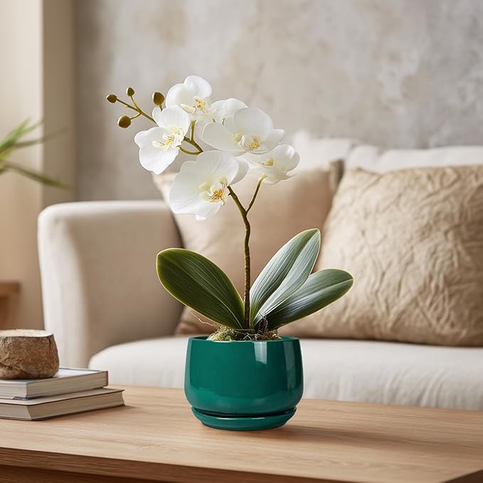 G EPGardening 4 inch Plant Pots - Small Ceramic Planter with Drainage Hole & Tray, Succulent Pots Indoor Outdoor, Round Modern Planter, Decorative Flower Pot, Desk Decor, Gifts for Plant Lover, Green