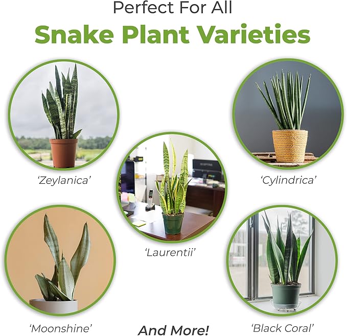 Perfect Plants Organic Snake Plant Soil in 8qt. Bag | Coco Coir Based Potting Mix Snake Plant Varieties