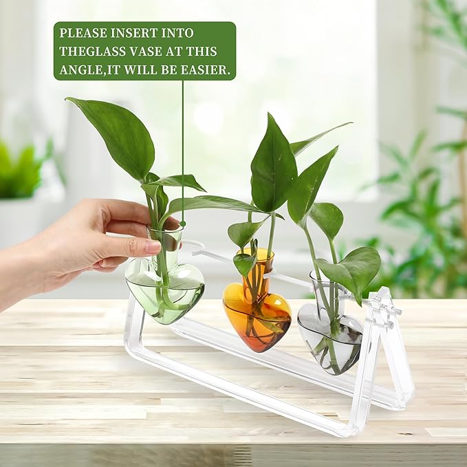 Plant Terrarium Propagation Stations with Acrylic Stand Birthday Gifts for Women Plant Stand Indoor Office Home Decor