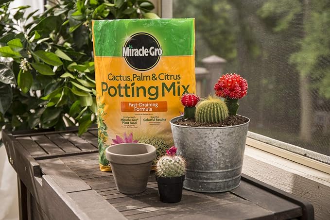 Miracle-Gro Cactus, Palm & Citrus Potting Mix, 8 qt. (3-Pack)