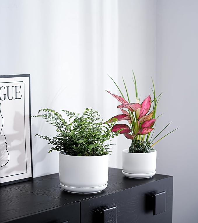 Ton Sin Plant Pots, 4.1+5.1+6.5 inch, Set of 3, Ceramic Planters with Drainage Hole and Saucer, Indoor Flower Pot with Hole Mesh Pad, Gifts for Mom(Matte White)