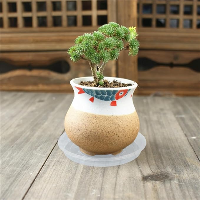 Plant Saucer 2 Pack of 10 inch, Clear Plastic Flower Plant Pot Saucer, Heavy Duty Plant Drip Trays Saucers for Indoor, Plant Water Tray for Planters