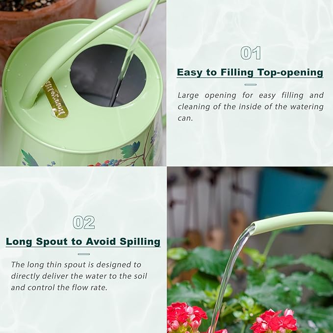 Berry&Bird House Plants Watering Can - Indoor & Outdoor 1/2 Gallon Stainless Steel Water Can with Long Spout Garden Decoration for Flower Bonsai Succulent Gardening Large Watwer Bottle(2L/Robin)