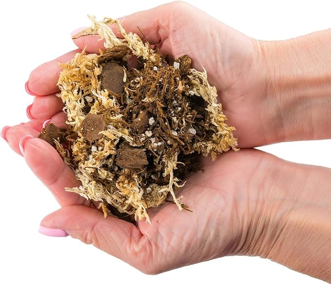 Premium Orchid Mix by GARDENERA | Fern + New Zealand Pine Bark + Sphagnum Moss + Perlite | Best for Growing and Repotting Orchids - 1 Quart Bag