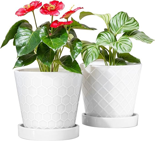 BUYMAX Plant Pots Indoor –6 inch Ceramic Flower Pot with Drainage Hole and Ceramic Tray - Gardening Home Desktop Office Windowsill Decoration Gift, Set of 2(White)
