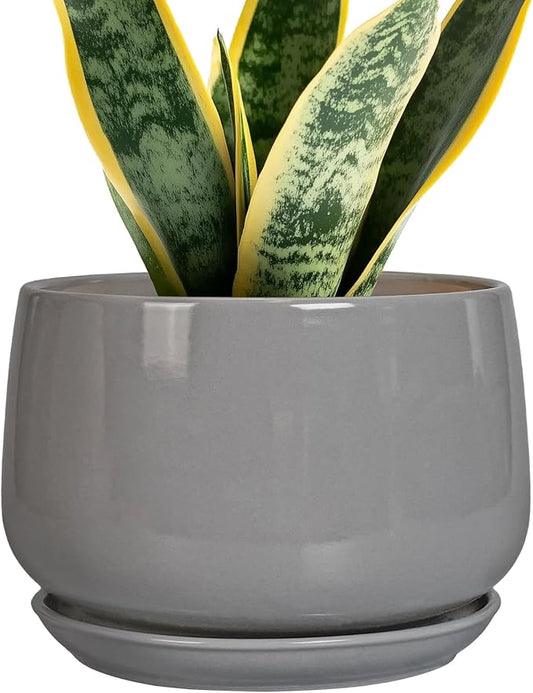 G EPGardening Modern Ceramic Planter - 7 Inch Round Modern Plant Pot Indoor with Drainage and Ceramic Tray Indoor Outdoor for Flower, Vanity Decor, Birthday Gifts, Grey