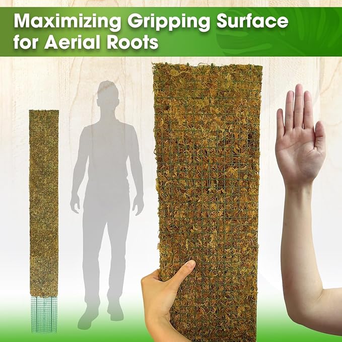 DUSPRO 59’’ Flat Mesh Moss Poles for Climbing Plants Monstera Flat Stacks for Tall Plant with Real Moss Moss Pole for Indoor Plants Plant Stick Support Tall Indoor Plants Support Stakes (1pc., 59'')