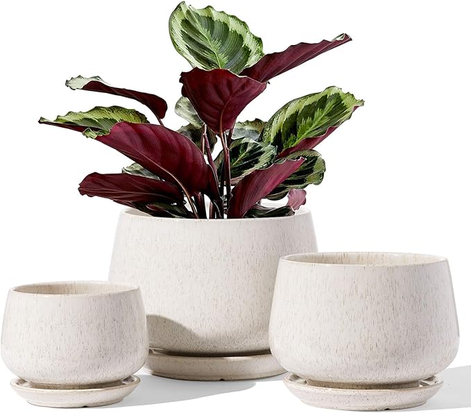 LE TAUCI Plant Pots, 4.1+5.1+6.5 inch, Set of 3, Ceramic Planters with Drainage Hole and Saucer, Indoor Flower Pot with Hole Mesh Pad, Gifts for Mom, Reactive Glaze Beige