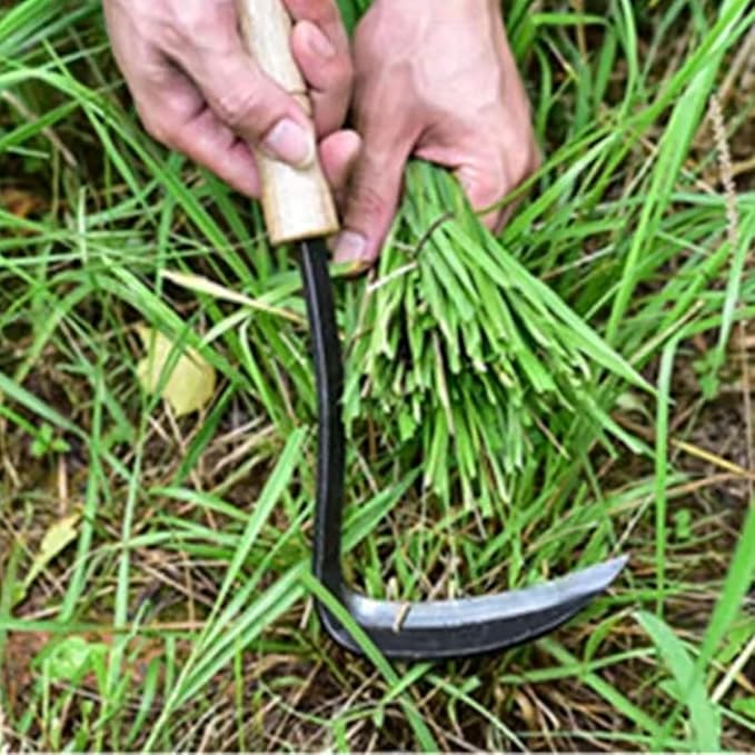 Kana Hoe 217 Japanese Garden Tool - Hand Hoe/Sickle is Perfect for Weeding and Cultivating. The Blade Edge is Very Sharp. (Beijing-022)