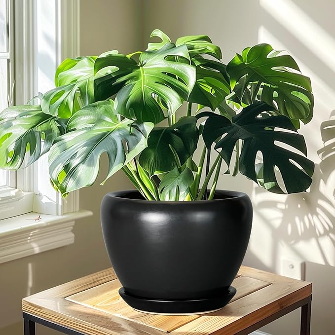 Ceramic Pot for Plants - 10 Inch Plant Pot Indoor with Drainage Hole and Saucer Large Planter Decorative Planter Modern Outdoor Flower Pot for House Balcony Black