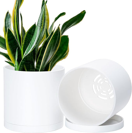 D'vine Dev 2 Pack 6.5 Inch Modern Plastic Plant Pots, Small Garden Planters for Plant with Drainage Holes and Saucers, White Color, 74-Z-L-1