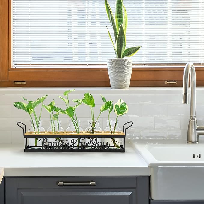 THYGIFTREE Plant Propagation Stations, Mothers Day Plant Lover Gifts for Mom Women Rooting for You Propagate Jars for Hydroponic Cuttings Propagating Vase