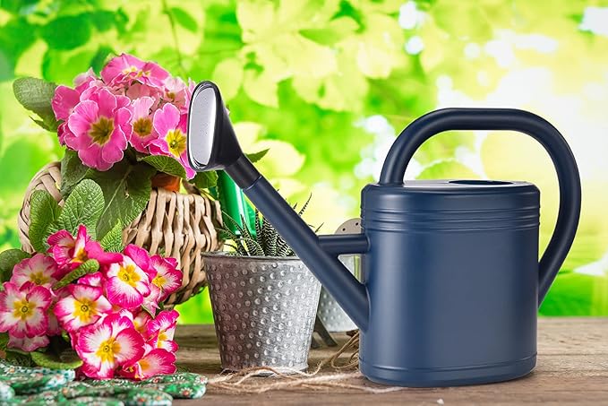 Watering Can 1 Gallon for Garden, Indoor Plants, Outdoor Plant House Flower, Large Long Spout with Sprinkler Head (Grey)