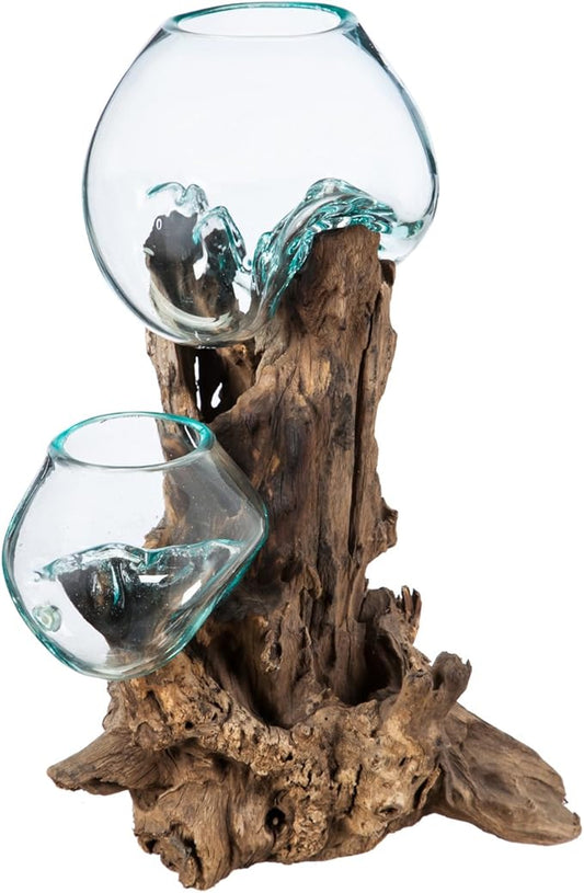 Cape Craftsmen 12" H Hand-Blown Blue Tinted Bubble Glass On Natural Teak Driftwood Terrarium | Home Décor Indoor Planter with Stand | Pot for Succulent and Plants