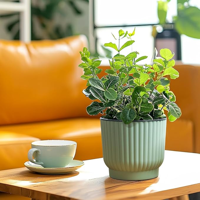 T4U 6 Inch Self Watering Pots for Indoor Plants, 6 Pack Planters for Indoor Plants, Durable Plastic Mint Green Pots for Indoor Plants, African Violets, Flower