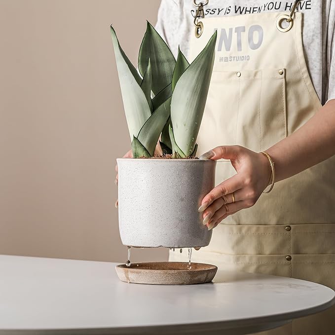 5.8 Inch Plant Pot: Ceramic Planter with Drainage Hole & Saucer - Cylinder Round Flowerpot for Indoor & Outdoor Plants - with Separate Tray for Home & Office - Retro Style, Grey