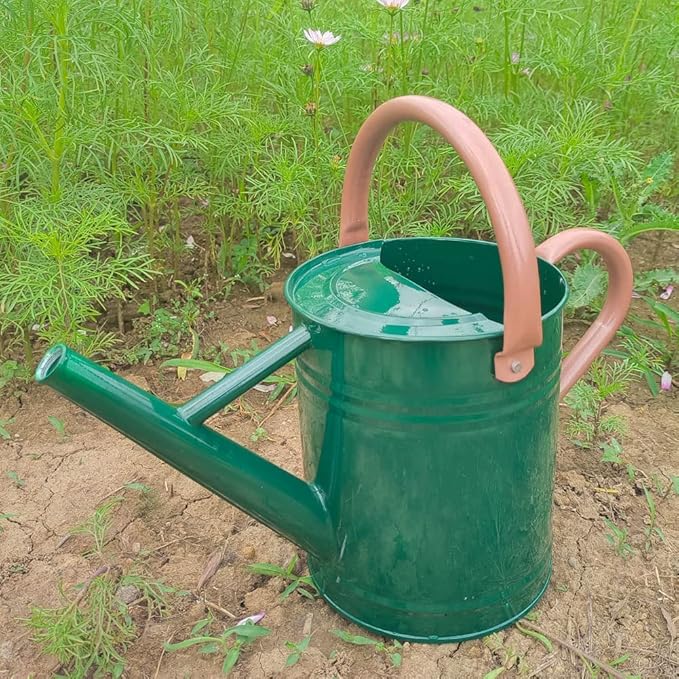 Metal Watering Can for Outdoor and Indoor Plants, Watering Can Decor, 1 Gallon (NewGreen)
