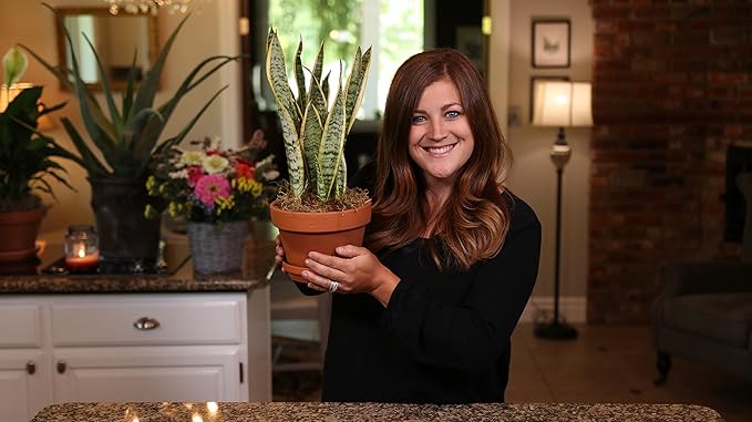 Espoma Organic Potting Soil Mix - All Natural Potting Mix For All Indoor & Outdoor Containers Including Herbs & Vegetables. For Organic Gardening, 8qt. bag. Pack of 2