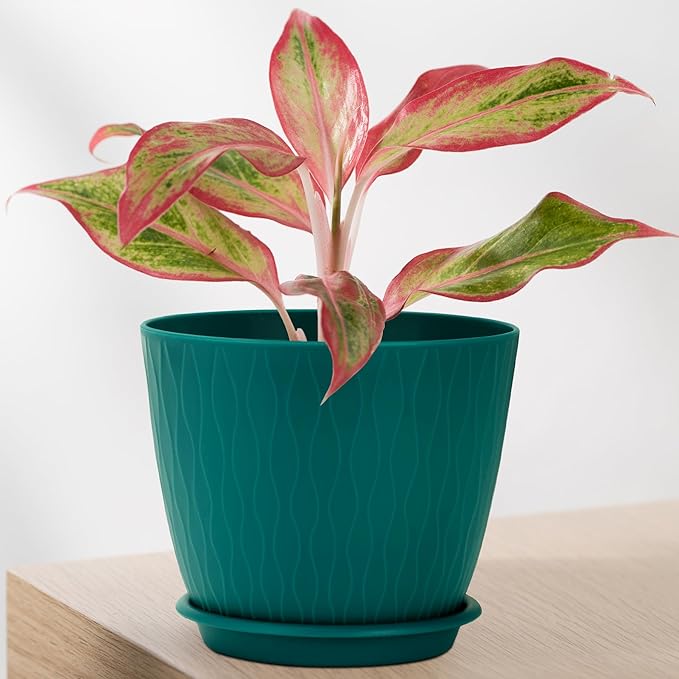 Plant Pots – 6 Inch Planters with Drainage Holes and Saucers, Flower Pots for Indoor and Outdoor Plants, Nursery Planting Pots (Pack of 5, Multicolor)