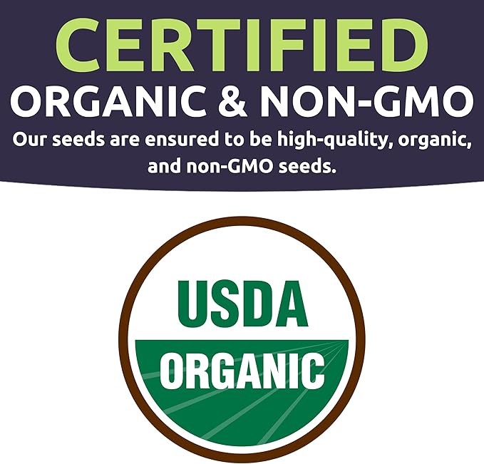 Organic Seeds Essential Variety Pack - 10 Individual Packs - 2025 Season - Summer Squash, Cherry Tomatoes, Arugula, Broccoli and More! for Indoor & Outdoor Planting (Non-GMO, Certified Organic)