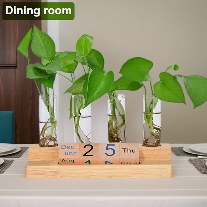 Propagation Vases for Plants, with Block Calendar for Desk, for Home and Desk Decor, Perfect Gardening Gifts for Women, Mom, Teacher, Horticulturist(Light Wood Color)