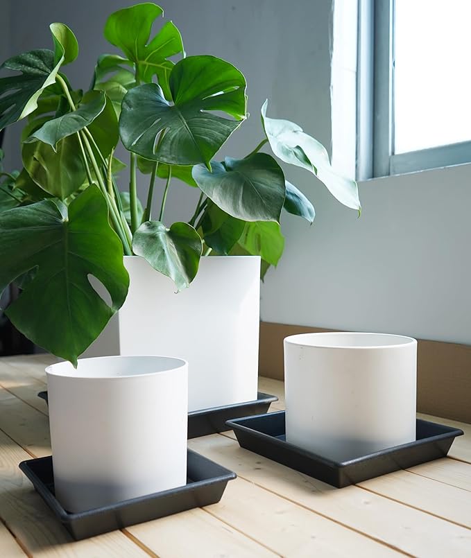 Square Plant Saucer 12 Inch 2 Pack 6 8 10 12 14 16 18 20 Inch, Plant Trays for Pots Heavy Duty Plastic Plant Saucers for Indoors Outdoors, Flower Pot No Holes Plant Drip Trays