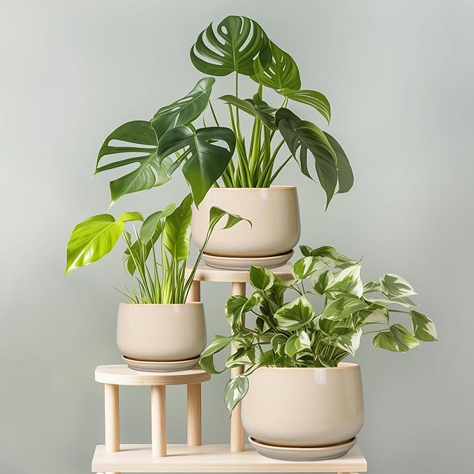 G EPGardening Ceramic Planter - 7 Inch Plant Pots with Drainage and Ceramic Tray, Flower Pots for Indoor Plants, Round Outdoor Planter, Room Decor, Gifts for Plant Lovers, Beige