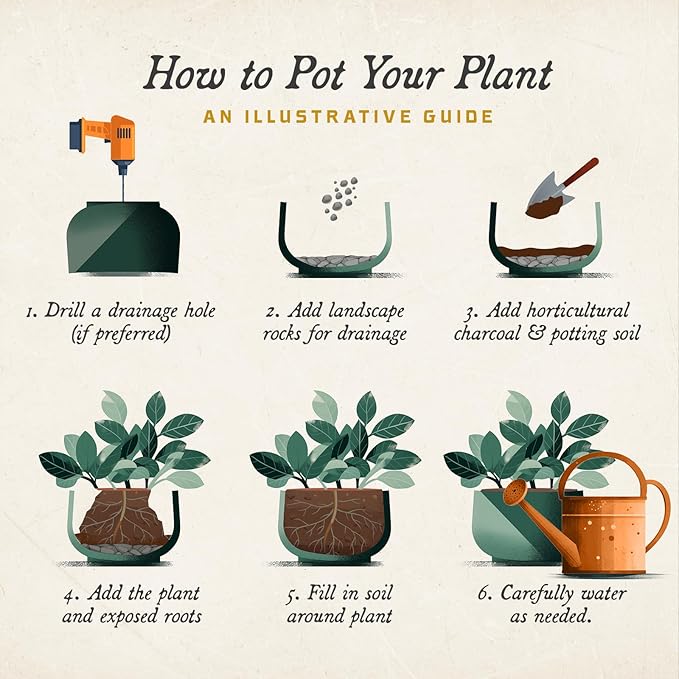 ARBORA 20" Monaco Square Polyresin Indoor and Outdoor Planter with Classic Black Finish - Durable, Weatherproof, Lightweight, Large Plant Pot for Patio, Garden, Deck, Entryway