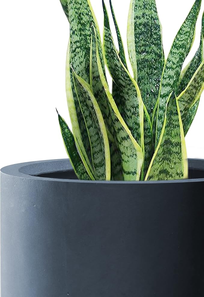 Kante 12.6" Dia Round Concrete Planter, Modern Style Large Cylindrical Plant Pot with Drainage Hole and Rubber Plug for Indoor Outdoor Patio, Charcoal