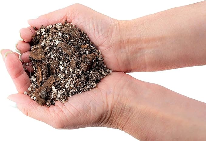 Banana Tree Potting Mix - Premium Quality Blend for Superior Banana Tree Health and Resilience - Promotes Strong Root Growth and Disease Resistance (4 Quart)