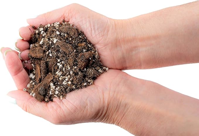 Premium Aroid Potting Mix - 10 Quart - Soil Free Blend for Aroids - Growing Medium for House Plants by Gardenera - (2 Bags of 5 Quart)