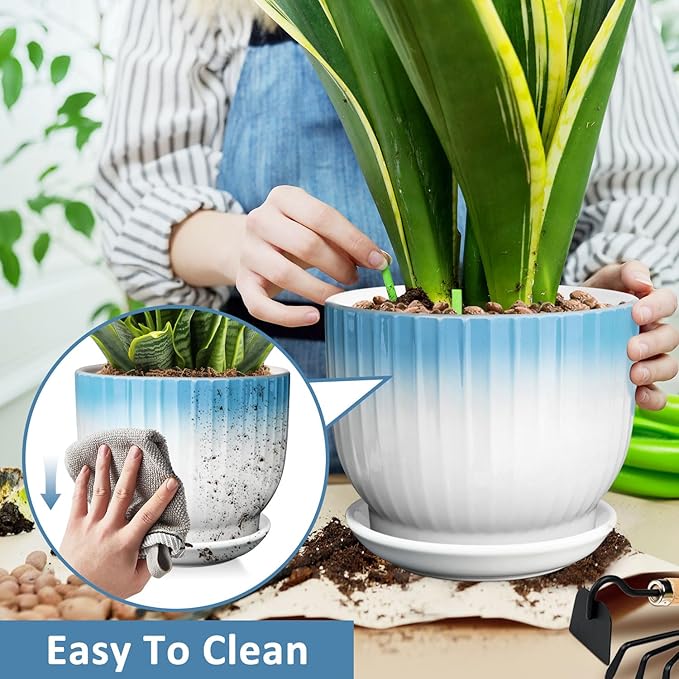 8 Inch Plant Pot, Ceramic Planter with Drainage and Saucer, Ceramic Pots for Plants, Indoor Plant pots,Ceramic Flower pots(Blue + White, Plants NOT Included)
