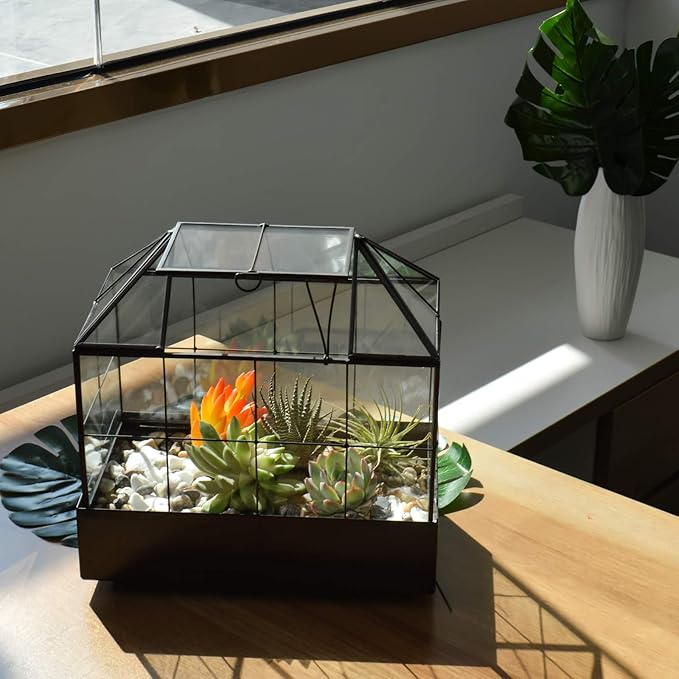 Large Tall Plant Terrarium Glass Greenhouse with Lid and Tray, Indoor Tabletop Orchid Succulent Cacti Kit 9.5'X9.8'X5.6'