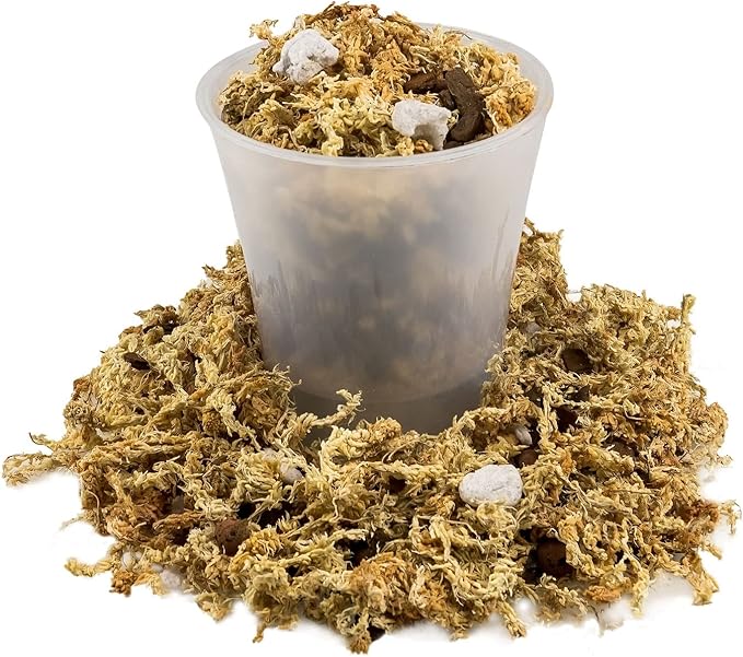 Premium Phalaenopsis Imperial Orchid Potting Mix - Hand Mixed in Small Batches | Great for Phalaenopsis of All Kinds - by GARDENERA - 10 Quart