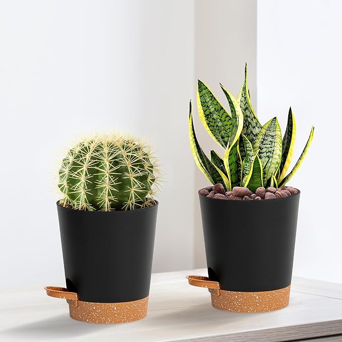 4 inch Small Plant Pots for Outdoor Indoor Plants, 10 Pack Planters with Drainage Holes and Tray, Small Self Watering Pots for Succulent, Cactus, Aloe and Other Plants (Black)