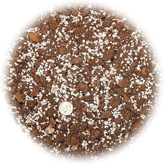 Premium Aloe Vera Potting Soil Mix - (5 Quart Bag)