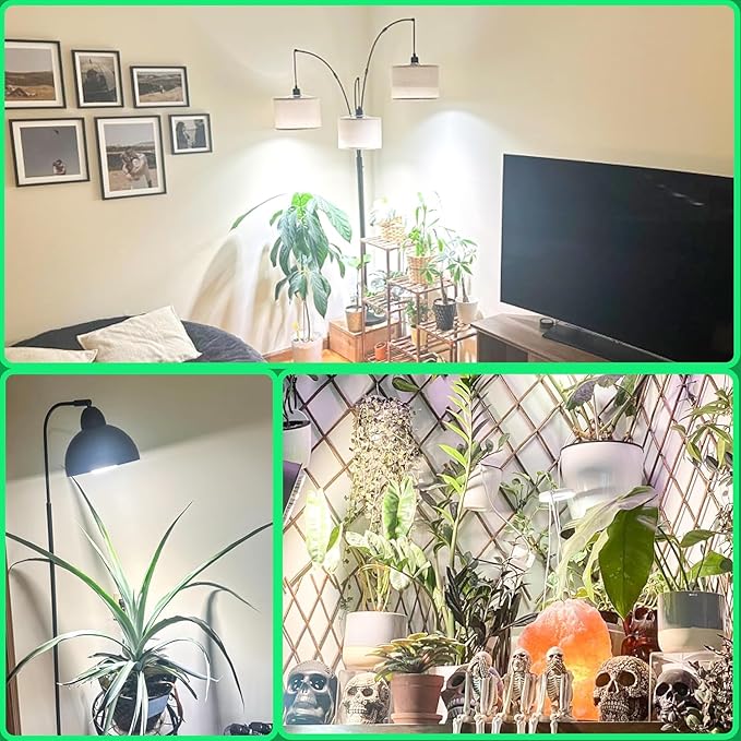 LED Grow Light Bulb for Indoor Plants Full Spectrum, 320W Equivalent Plant Light Bulb, E26 Base, 4000K Plant Grow Light Bulb, Grow Bulb for Indoor Plants, Pack 2